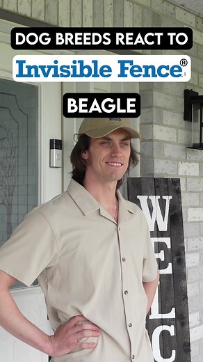 Dog Breeds on the Invisible Fence® Brand System