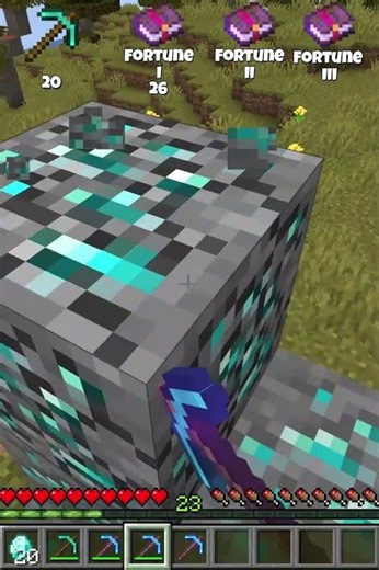 La Puissance des niveaux de Fortune #minecraft #questcequejedevraischoisir #gaming