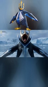Pokémon Documentary: Empoleon | Pokémon lover