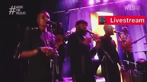 30K views · 5.3K reactions | Meilleur concert 2021 FERRE GOLA Orchestration✅PODIUM ✅ Lumière de Scène ✅ from  | Congo Luxe Tv | Facebook