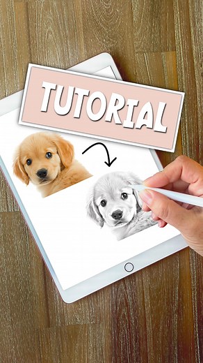 The Irish Crafter on Instagram: "How to turn a photo into a sketch 🐶 #procreate #digitalart #procreateforbeginners #illustration #procreatetutorials #procreateart #digitalillustration #artistsoninstagram #procreatetutorial #artwork #digitaldrawing #digitalpainting #ipadpro #procreatedrawing #draw #digitalartist #digital #instaart #design #procreateillustration #procreatetips #ipad #procreatebrushes #procreatebrushtutorial"