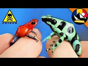 Which Poison Dart Frog is the Most Dangerous? Dart Frog Comparison!