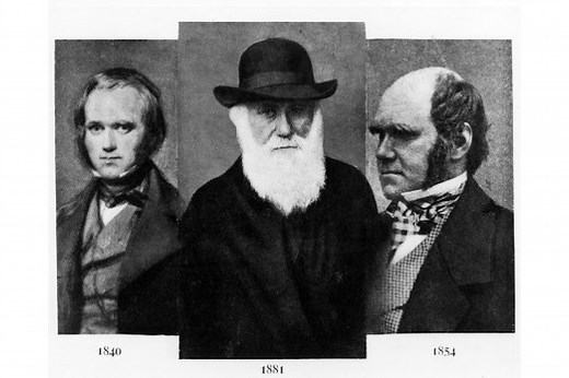 Charles Darwin: biografia e seleção natural - Brasil Escola