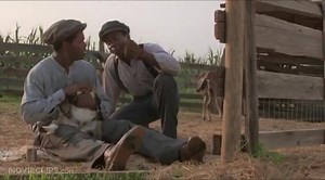 I've been thinking about this clip a lot lately. This is one of my favorite scenes from the critically acclaimed film “The Color Purple” starring @WhoopiGoldberg @Oprah. It’s absolutely unforgettable! 🙌🏾 In this scene Sophia says, all her life she's had to fight! Now how many of us can relate to that? I'm here to tell you that there’s no shame in fighting. Fight for what you know is right. Fight for the life you know you deserve. Fight the institutions, the people, and the mentality that bring