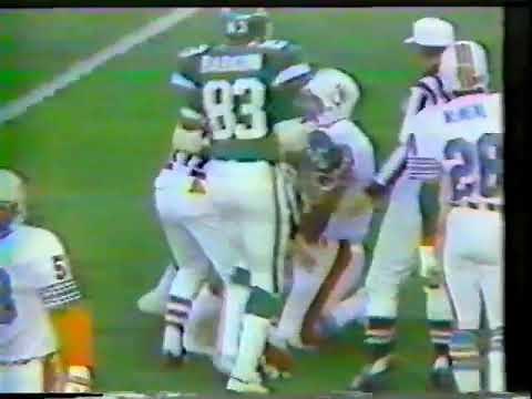 1981 Week 12 Miami at New York Jets