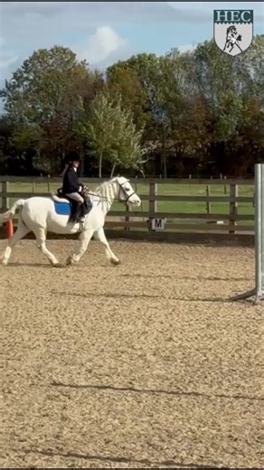 Have you rediscovered your passion for horses? 🐴 Huntersfield Equestrian Centre offers structured weekly lessons with supportive, experienced instructors. Embrace the freedom of open fields and well-trained horses. 🌾 Learn more at huntersfieldec.com. | Huntersfield Equestrian Centre