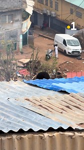 112K views · 808 reactions | ⚡️Ces établissements de Combani et Cavani Sud, qui ont servi d’abris d’urgence pendant le cyclone, sont aujourd’hui marqués par des dégradations. #Mayotte #chido #Éducation | Mayotte la 1ère | Facebook