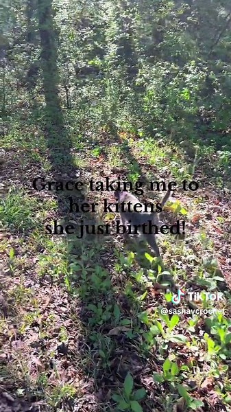 Janice Fagan on TikTok