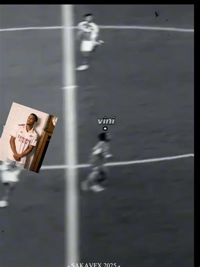 Timber: A Deep Dive into Its Cultural Impact