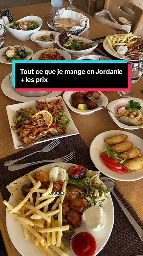 Réponse à @camaway 🥥🌺 Tout ce que je mange en Jordanie pt.1 Les adresses : 📍restaurant du musée de la mer morte 📍Antalya sur la route entre Petra et le désert de Wadi Rum 📍Knefeh chez @Habibah Sweets à Amman #voyage #voyager #voyageuse #bonplan #jordanie #jordanie🇯🇴 #foodtour #foodtok #jordanien🇯🇴 #ammanjordan #amman #petra #wadirum