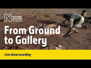 From Ground to Gallery | Live Talk with NHM Scientist