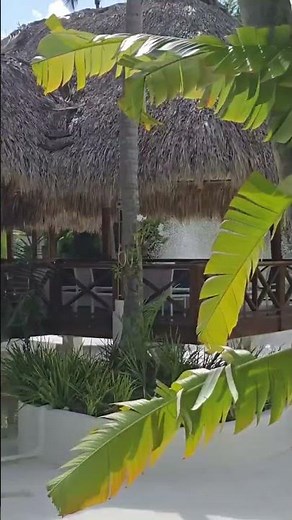 Hotel Impressive Punta Cana 🇩🇴