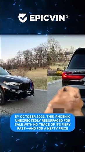 Check a Used Car’s History 🚗 | EpicVIN Vehicle Report 2025