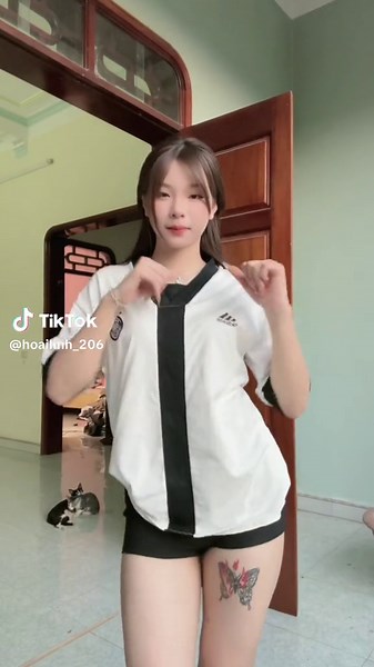 Thằn lằn bám kính gây sốt trên mạng xã hội