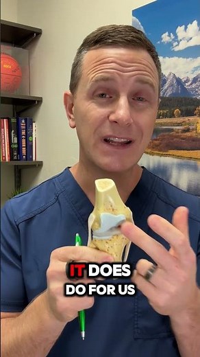 Do Platelet Rich Plasma (PRP) Injections REBUILD Knee Cartilage?