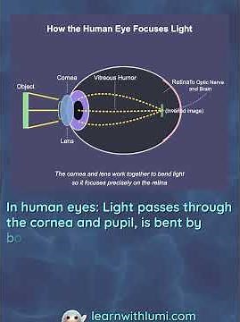 Visual Science: How Light Becomes Image #physics #light #homeschoolingfun #education
