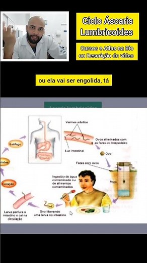 🪱 O ciclo de vida da Ascaris lumbricoides: Como ocorre a infecção?