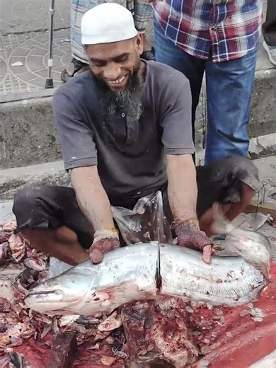 Big Size Boal Fish Cutting🔥 | Giant Freshwater Catfish Cleaning & Cutting Process🔥