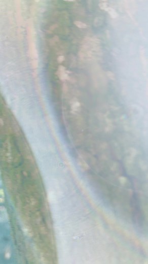 1K views · 14 reactions | ❤️ Embark on a Tropical Escape with Rita Guava Juice Drink ❤️ Your Passport to Paradise in Every Sip ❤️ #guavajuice #Rita #foodanddrink #beverages | Rita Food & Drink Co.,Ltd | Facebook