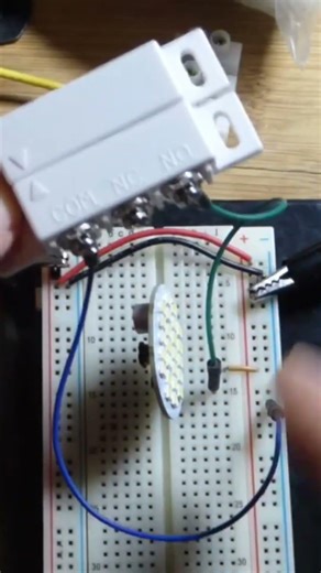 NO Normally Open Magnetic Reed Switch 12V to 24 Volt LED module