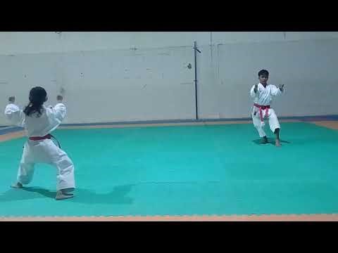 Latihan 18/4/2026 - Shavira(Heian Yondan) Afif (Unsu)