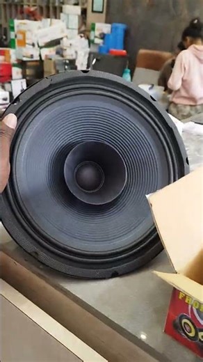 12"song speaker is powerful sound system
