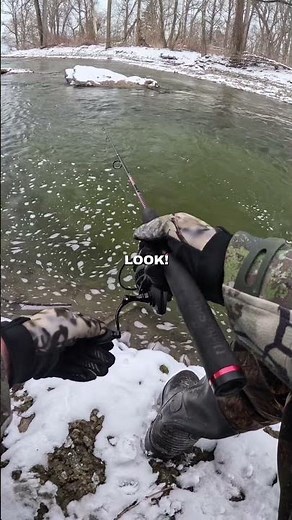 Trying to catch a HUGE Steelhead‼️🎣 #fishing #trout #steelhead