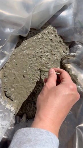 72K views · 474 reactions | Stick a screw into concrete for this brilliant garden idea! | Hometalk | Facebook