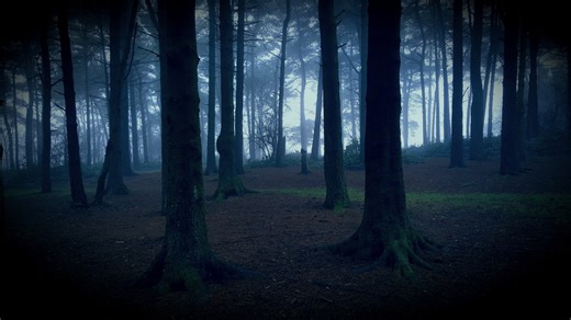 Top 10 Lesser-Known Cryptids From Around the World