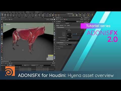 AdonisFX (Houdini) Crafted Hyena Asset Overview