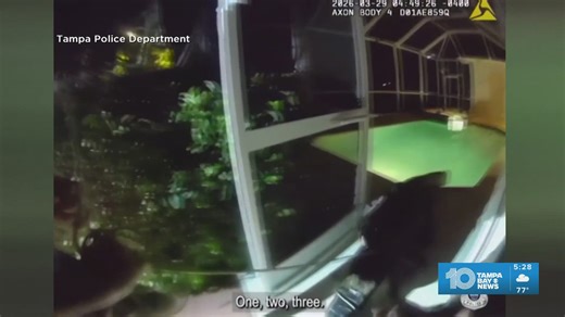 Alligator hisses, thrashes after breaking into Tampa family's pool