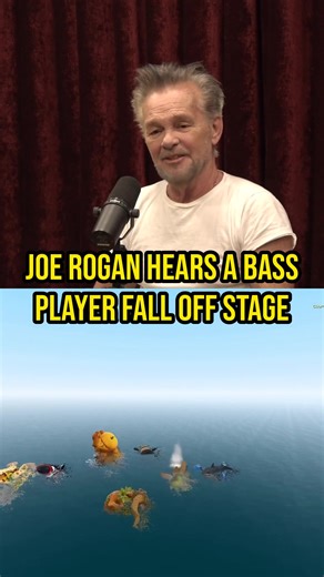 Joe Rogan hears a BASS player FALL off stage. A frat riverboat gig unravels when the drunk bass player leans back and goes overboard mid-show. #Music #JoeRogan #JohnMellencamp #OnStage #TourStories