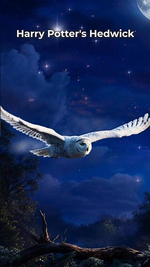 🦉 "Cosmic Owl" Found 11 Billion Light-Years Away! | James Webb Discovery 🌌 #shorts