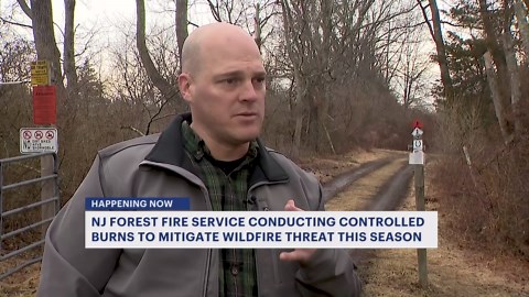 Controlled burns starting up in New Jersey to help mitigate spring forest fire season