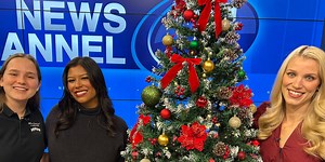 Curating the perfect Christmas tree for your home