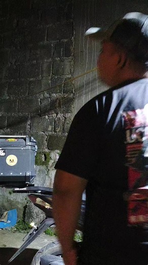 Bennie Knows: The Adorable Chuncky Boi