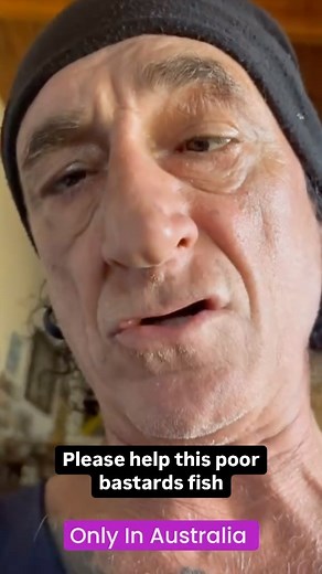 FckingYobo 🇦🇺 on Instagram: "I hope it’s okay 🫶 #fish #australia #pet Holden Torana The Holden Torana is a mid-sized car that was manufactured by Holden from 1967 to 1980. The name apparently comes from a word meaning “to fly” in an unconfirmed Aboriginal Australian language. The original HB series Torana was released in 1967 and was a four-cylinder compact vehicle closely based on the British Vauxhall Viva HB series of 1966–1970."