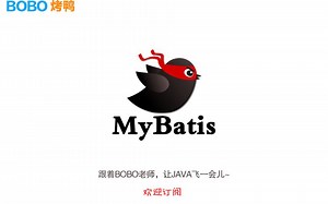 【波波烤鸭】带你玩转mybatis