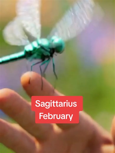 #sagittarius #february #tarot #prediction #oracle