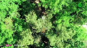 2.2K views · 483 reactions | 200617 I-LAND Part.1 Signal Song IU 'Into the I-LAND' MV Teaser ▶ https://youtu.be/vfjpbaA4xxg | Music and IU | Facebook