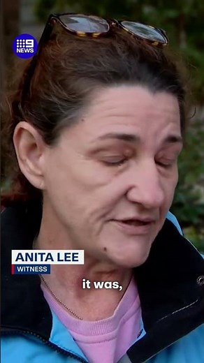 Police investigating crash carnage in Brisbane | 9 News Australia