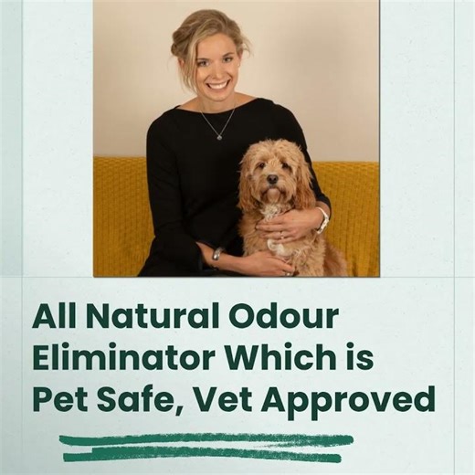 No More Smells Odour Killer