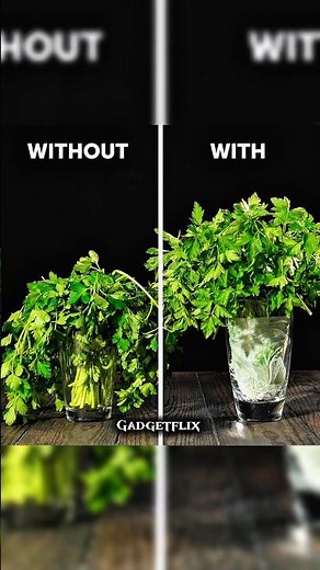 Top Hacks to Keep Your Fruits and Vegetables Fresh for Longer! 🍎🥦 #trendinghacks