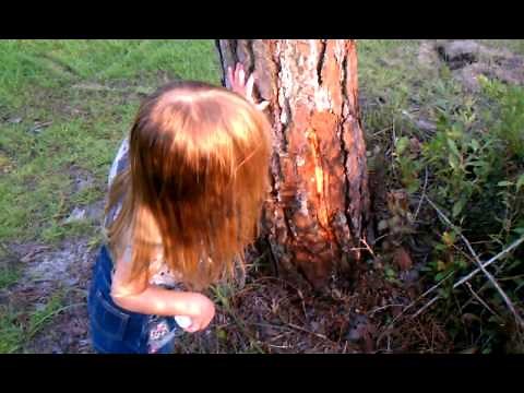 Ground Explodes After Lightning Strike