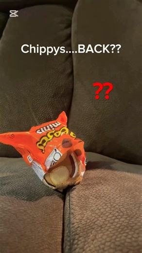CHIPPY IS BACK?? *emotional* he exposes the couches secrets…? #chipmunk #mia #chocolate #couchgang