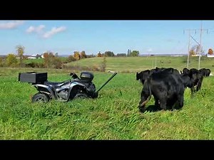 How We Set Up The Farm ATV for Rotatational Grazing