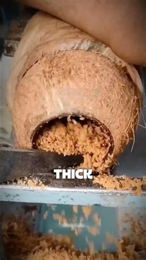 Ancient Coconut Maraca Making 🥥 How This Traditional Instrument Is Crafted #shorts