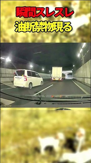 一瞬の判断ミスが命取り？トンネル内に現る影 #クルマ #交通安全 #ドライブ