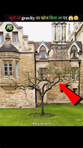 the Newton tree 🤯😱 | #facts #shortsfeed #viral