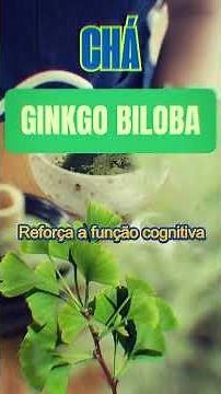 chá de Ginkgo Biloba